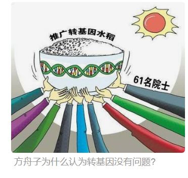 张宏良：美国全部对华战略都是建立在汉奸基础上，汉奸是美国的核心利益