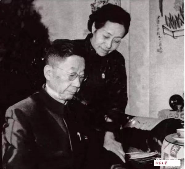 孔庆东|老舍是冷男还是暖男?