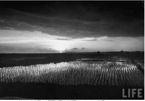 工业革命——世界工业化三百周年回眸（八）