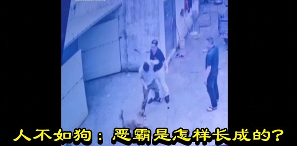 陈曾明丨人不如狗：恶霸是怎样长成的？
