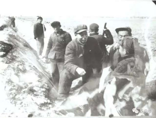 《张钦礼传》二十 | 他说： 打派仗、社会动荡，受害的是国家，吃亏的是咱老百姓