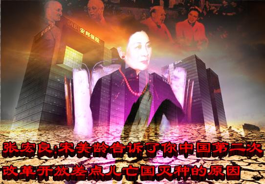 张宏良:宋美龄告诉了你中国第二次改革开放差点儿亡国灭种的原因