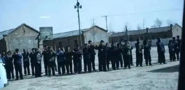 秦明：在董小姐们的长辈眼中，五七干校就是“牛棚”