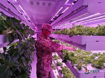 品读高原寒哨的暖冬故事 从中汲取更多前行的勇气和力量