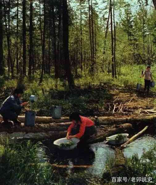 广阔天地，大有可为——记录当年知青下乡生活的珍贵彩色老照片