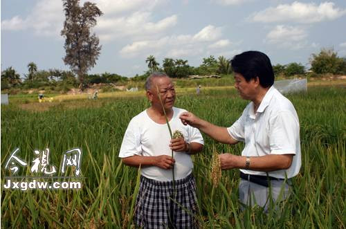 究竟是谁让中国人吃饱了肚子?