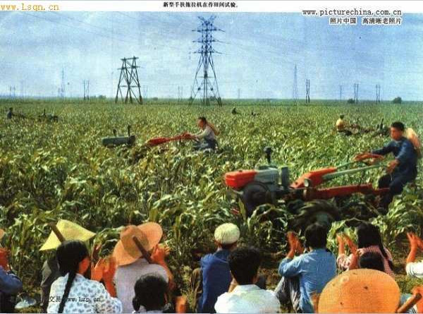 张宏良：中国人应该好好思考一下两个十年的问题