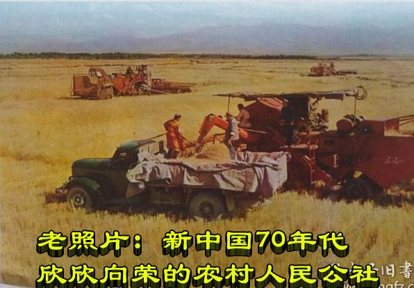 老照片：新中国70年代欣欣向荣的农村人民公社