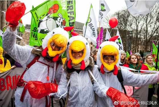 为人类，为孩子，为未来，德国爆发大规模反转基因反孟山都示威游行！