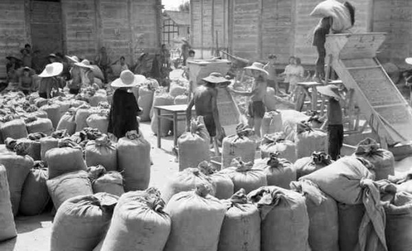 新中国工业革命与世界工业化回眸（四）