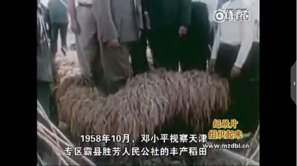 纪录片：组织起来