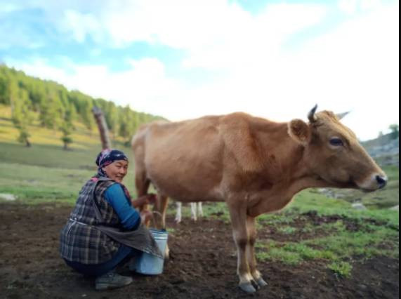 结亲，我只服你：和亲戚把日子过成一首诗