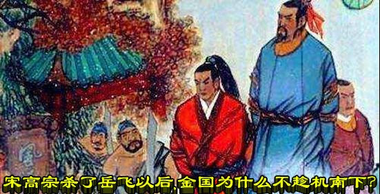 宋高宗杀了岳飞以后，金国为什么不趁机南下？