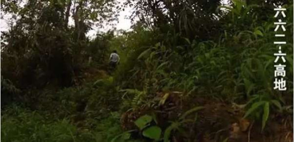 战将张又侠履新：他7分钟全歼高地守敌，带一团胜敌六个团