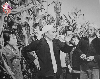 ——评由王洪文、陈永贵、吴桂贤三人引发的思考