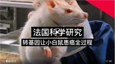 付欣宇|《农民日报》：怎一个慌字了得！
