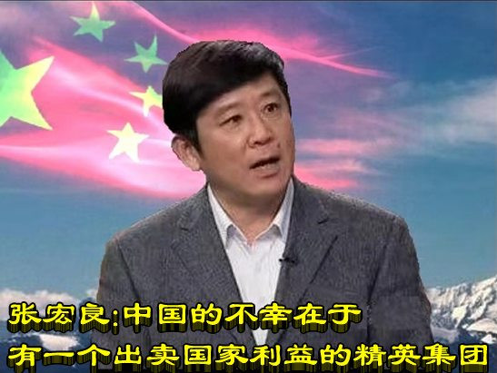 张宏良：中国的不幸在于有一个出卖国家利益的精英集团（综合）