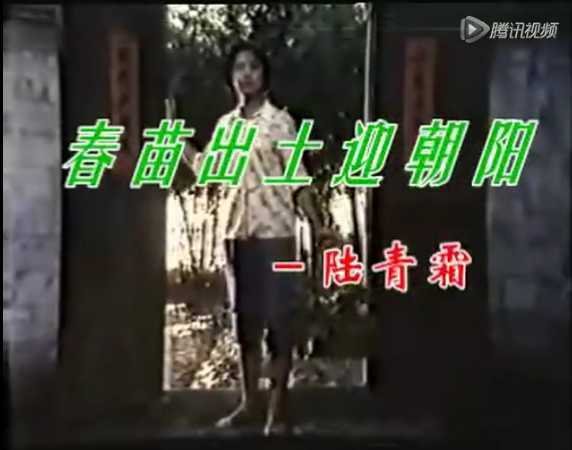 文革期间，中国拍过多少部电影 ？