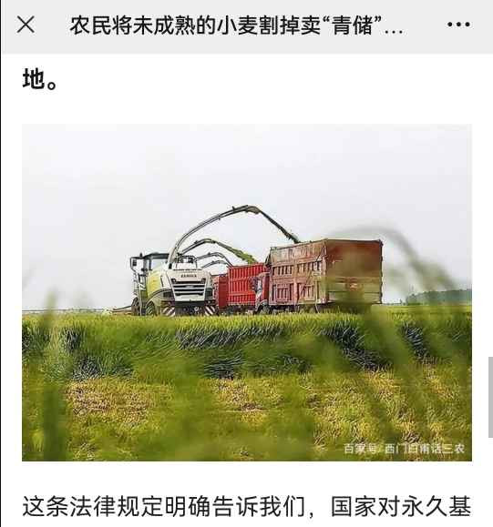 蒋高明 :青储小麦的经济账并不合算，其真实目的有待深挖
