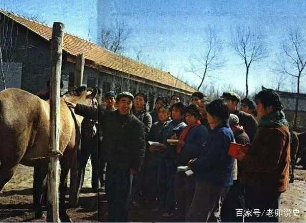 广阔天地，大有可为——记录当年知青下乡生活的珍贵彩色老照片