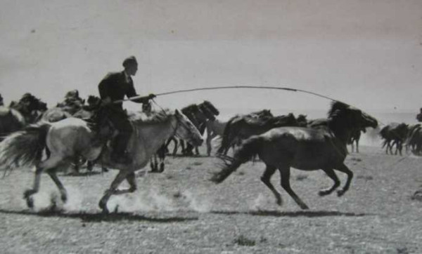 老照片：新中国70年代初期欣欣向荣的农村人民公社