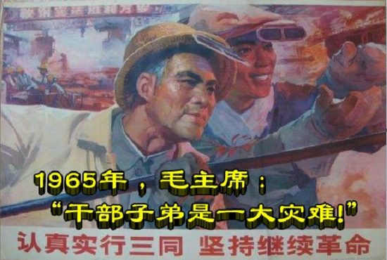 1965年，毛主席：“干部子弟是一大灾难!”