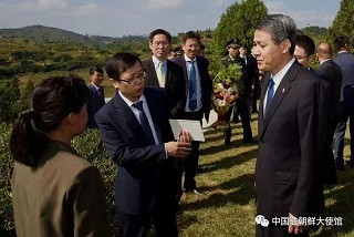 王亚军大使祭扫顺川中国人民志愿军烈士墓