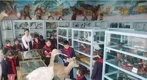 崔永元朝鮮7日行,揭露了幕后真相!打了很多人的脸!