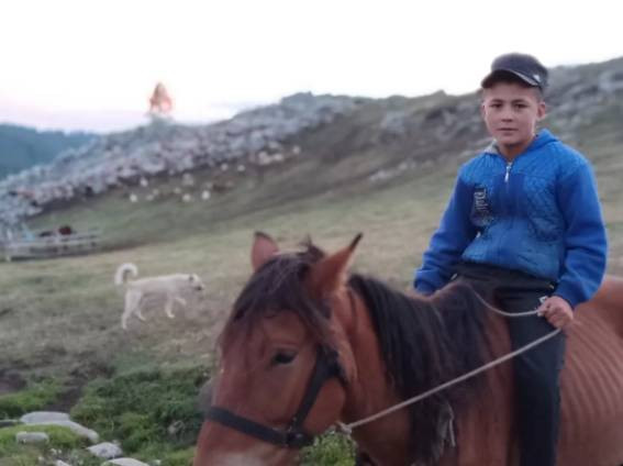 结亲，我只服你：和亲戚把日子过成一首诗