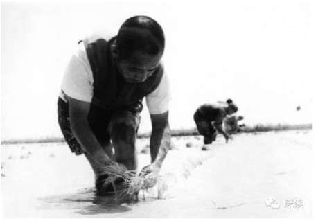 毛主席为何要办“五七”干校