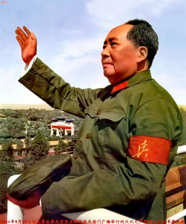 张宏良：毛主席为什么要8次接见红卫兵