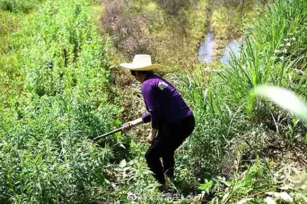 胡国庆：丈夫煤窑打工患尘肺病，她走两次被骗钱骗感情后绝望归家