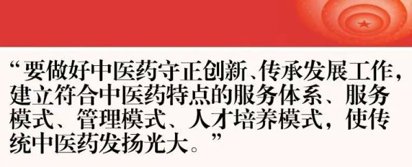 中医教育再不改变，中医就真完了!