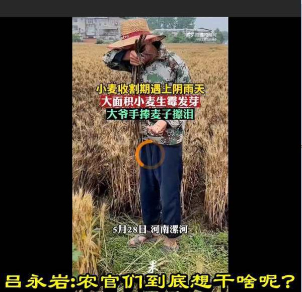 吕永岩：农官们到底想干啥呢？