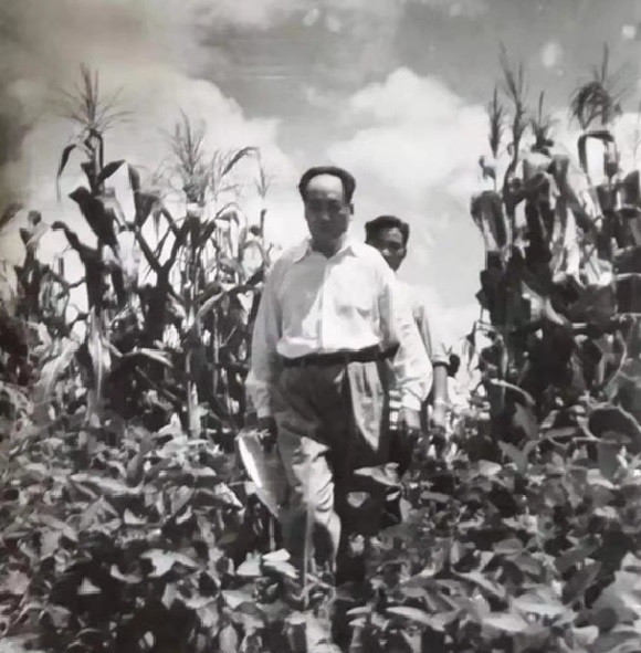 八五遗愿——纪念毛主席视察安国63周年