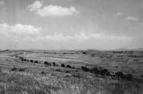 看到塞罕坝的老照片，我落泪了