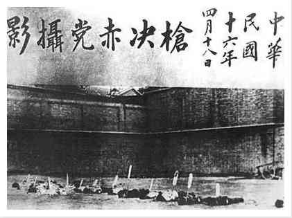 张宏良：自由的鲜花，本来就是用鲜血浇灌的