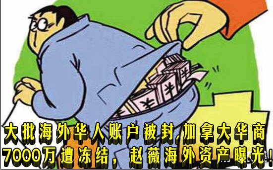 大批海外华人账户被封，加拿大华商7000万遭冻结，赵薇海外资产曝光！
