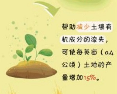 蹊跷车祸