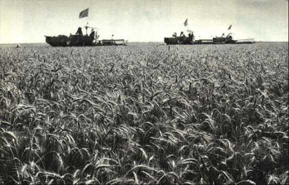 1975年农业学大寨，山东烟台地区农业机械化取得了可喜的成就