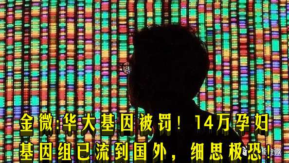 金微:华大基因被罚!14万孕妇基因组已流到国外,细思极恐!