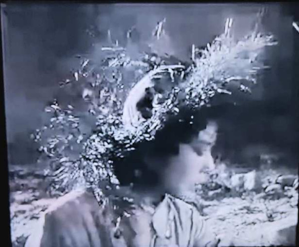 孔庆东：1959年的抗美援朝影片《友谊》