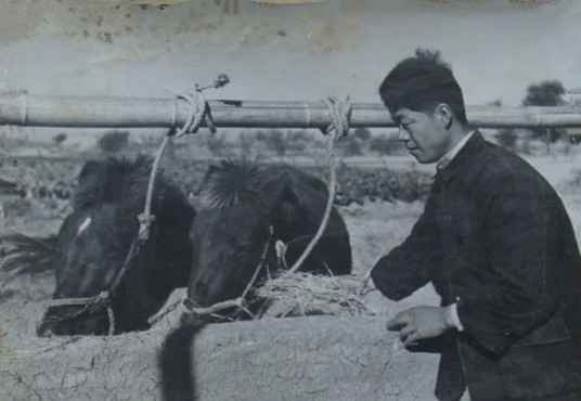 毛泽东社会主义光明道路——农业合作化运动