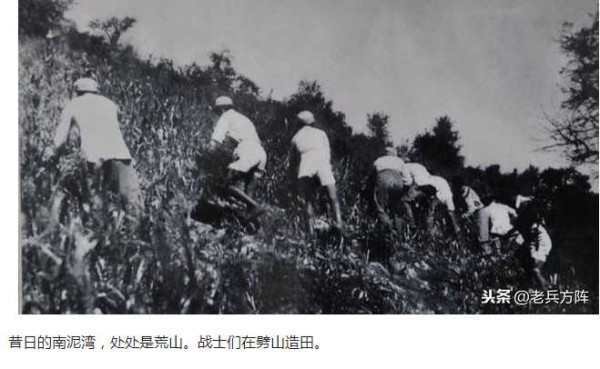 毛泽东时代新疆生产建设兵团纪实老照片