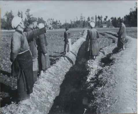 毛泽东社会主义光明道路——农业合作化运动