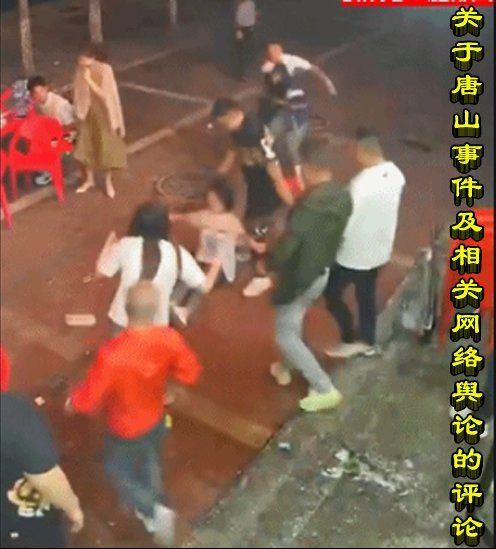 关于唐山事件及相关网络舆论的评论