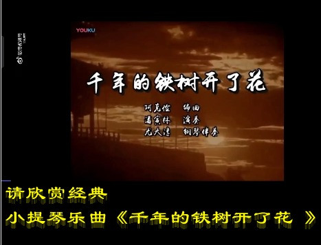 经典小提琴乐曲《千年的铁树开了花 》