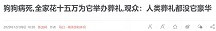 子午：富人的狗