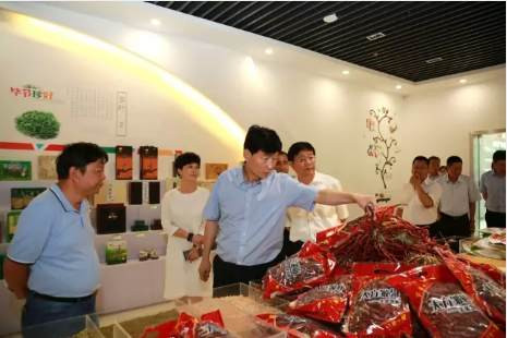 云南昭通市党政代表团到毕节考察