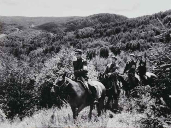 看到塞罕坝的老照片，我落泪了